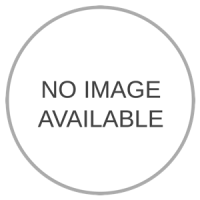 Image of Dog  Car on phpmotors.com