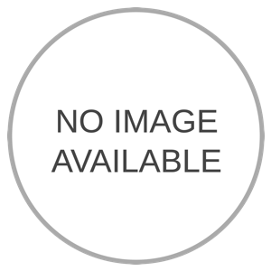 Image of Dog  Car on phpmotors.com